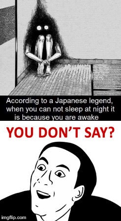 True words of wisdom  | image tagged in wisdom,japan,you don't say,you dont say,obvious,asleep | made w/ Imgflip meme maker