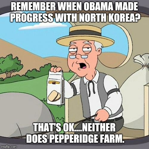Pepperidge Farm Remembers | REMEMBER WHEN OBAMA MADE PROGRESS WITH NORTH KOREA? THAT'S OK....NEITHER DOES PEPPERIDGE FARM. | image tagged in memes,pepperidge farm remembers | made w/ Imgflip meme maker