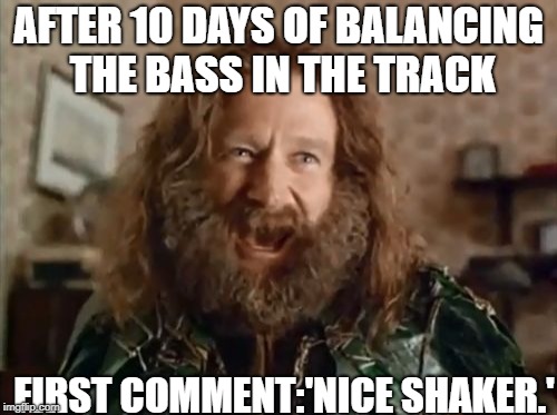 What Year Is It Meme | AFTER 10 DAYS OF BALANCING THE BASS IN THE TRACK; FIRST COMMENT:'NICE SHAKER.' | image tagged in memes,what year is it | made w/ Imgflip meme maker