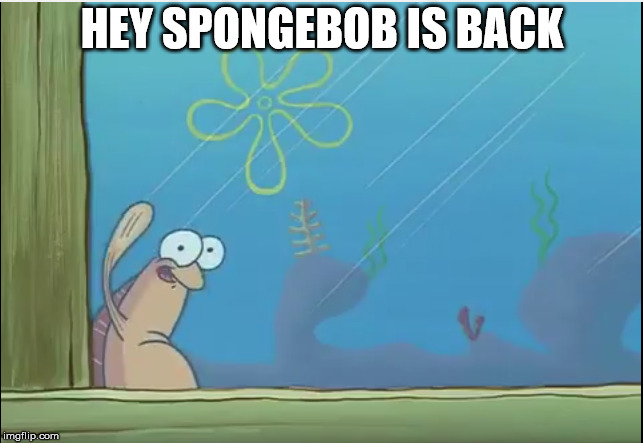 Spongebob is back everybody! | HEY SPONGEBOB IS BACK | image tagged in spongebobnick | made w/ Imgflip meme maker