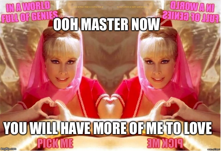 Jeannie twins of Genie | OOH MASTER NOW; YOU WILL HAVE MORE OF ME TO LOVE | image tagged in jeannie twins of genie | made w/ Imgflip meme maker