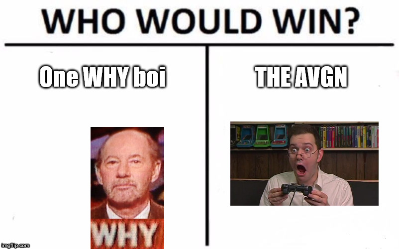 Who Would Win? Meme | One WHY boi; THE AVGN | image tagged in memes,who would win | made w/ Imgflip meme maker