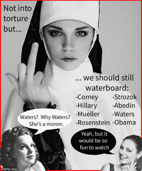 Waterboarding is OK ....for TV | image tagged in waterboarding,maxine waters,liberalism is a mental disorder,politics lol,funny memes,babes | made w/ Imgflip meme maker