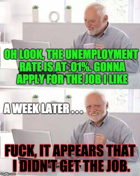 Sometimes, the Low Unemployment Rate is a Lie | image tagged in meme,hide the pain harold | made w/ Imgflip meme maker