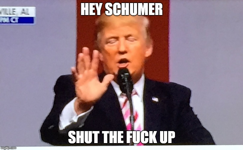 Is this too transparent? | HEY SCHUMER SHUT THE F**K UP | image tagged in trump no bs,stfu chuck,memester | made w/ Imgflip meme maker
