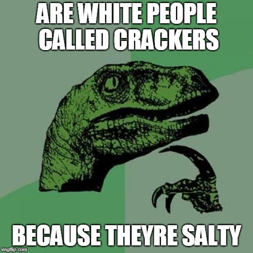 Philosoraptor Meme | ARE WHITE PEOPLE CALLED CRACKERS; BECAUSE THEYRE SALTY | image tagged in memes,philosoraptor | made w/ Imgflip meme maker