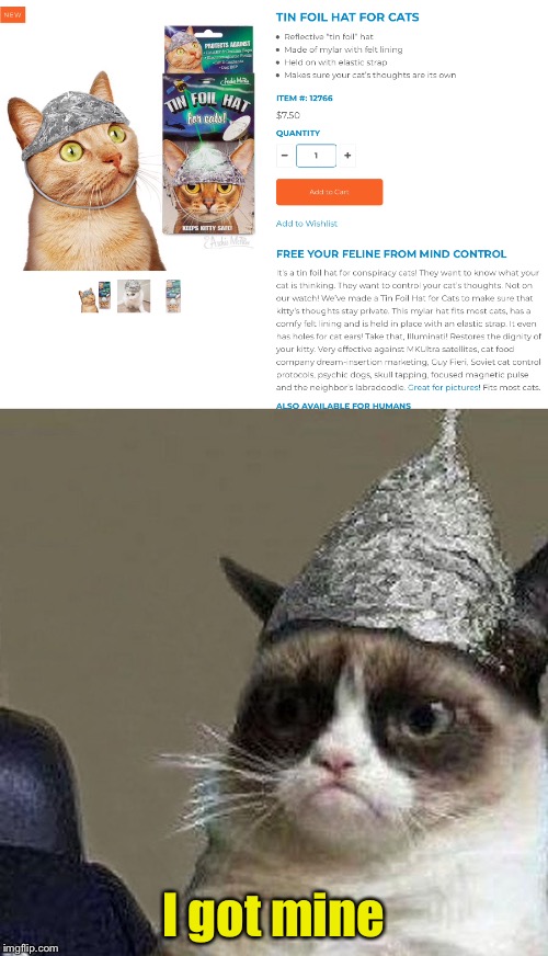 Get yours before they shut down the site (Cat Weekend - May 11-13, a Landon_the_memer, 1forpeace, & JBmemegeek Event) | I got mine | image tagged in memes,paranoid,grumpy cat,tinfoil hat,cat weekend | made w/ Imgflip meme maker