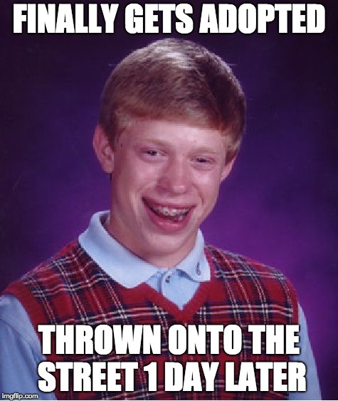 Bad Luck Brian Meme | FINALLY GETS ADOPTED; THROWN ONTO THE STREET 1 DAY LATER | image tagged in memes,bad luck brian | made w/ Imgflip meme maker