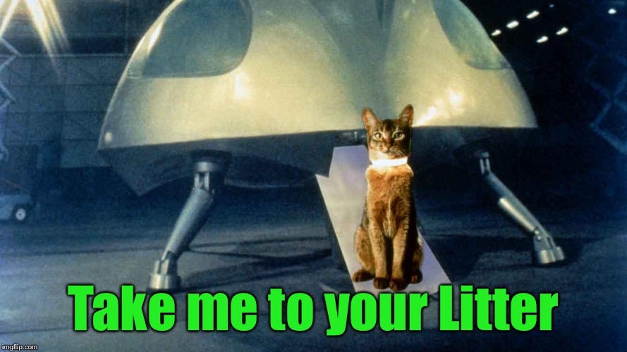 Catronaut (Cat Weekend - May 11-13, a Landon_the_memer, 1forpeace, & JBmemegeek Event) |  Take me to your Litter | image tagged in memes,cat weekend,catronaut,cat from outer space | made w/ Imgflip meme maker