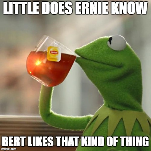But That's None Of My Business Meme | LITTLE DOES ERNIE KNOW BERT LIKES THAT KIND OF THING | image tagged in memes,but thats none of my business,kermit the frog | made w/ Imgflip meme maker