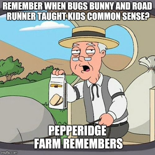 Pepperidge Farm Remembers Meme | REMEMBER WHEN BUGS BUNNY AND ROAD RUNNER TAUGHT KIDS COMMON SENSE? PEPPERIDGE FARM REMEMBERS | image tagged in memes,pepperidge farm remembers | made w/ Imgflip meme maker
