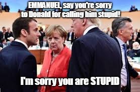 The Merkelnator | EMMANUEL, say you're sorry to Donald for calling him stupid! I'm sorry you are STUPID | image tagged in angela merkel,merkal,macron,emmanuel macron,donald trump,trump | made w/ Imgflip meme maker