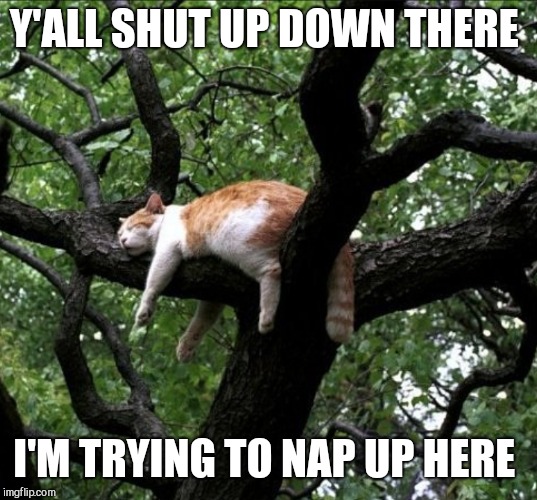 Y'ALL SHUT UP DOWN THERE I'M TRYING TO NAP UP HERE | made w/ Imgflip meme maker