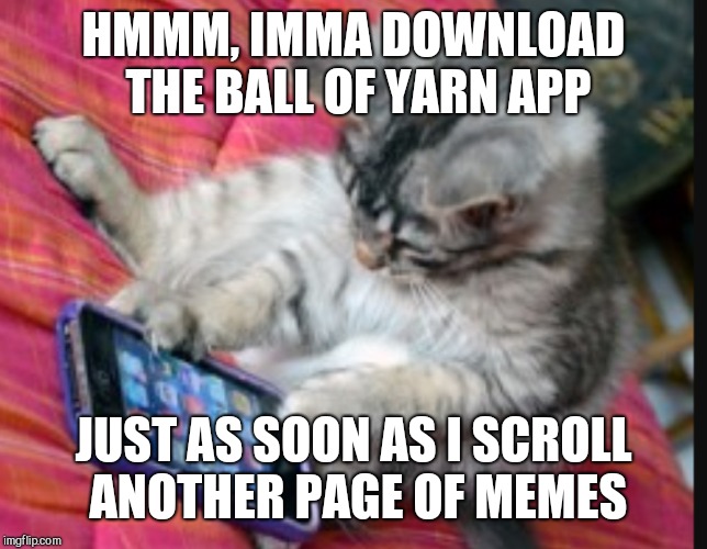 HMMM, IMMA DOWNLOAD THE BALL OF YARN APP JUST AS SOON AS I SCROLL ANOTHER PAGE OF MEMES | made w/ Imgflip meme maker