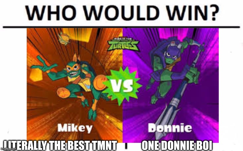 LITERALLY THE BEST TMNT; ONE DONNIE BOI | made w/ Imgflip meme maker