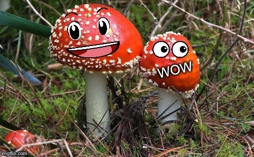 WoW Shroom Upvote | . | image tagged in wow shroom upvote | made w/ Imgflip meme maker