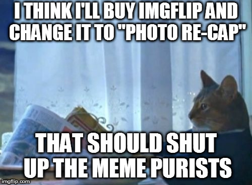 I Should Buy A Boat Cat Meme | I THINK I'LL BUY IMGFLIP AND CHANGE IT TO "PHOTO RE-CAP"; THAT SHOULD SHUT UP THE MEME PURISTS | image tagged in memes,i should buy a boat cat | made w/ Imgflip meme maker