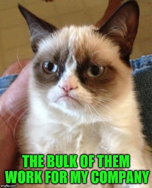 Grumpy Cat Meme | THE BULK OF THEM WORK FOR MY COMPANY | image tagged in memes,grumpy cat | made w/ Imgflip meme maker