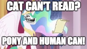Troll | CAT CAN'T READ? PONY AND HUMAN CAN! | image tagged in trollestia,memes,troll,3rd submission | made w/ Imgflip meme maker