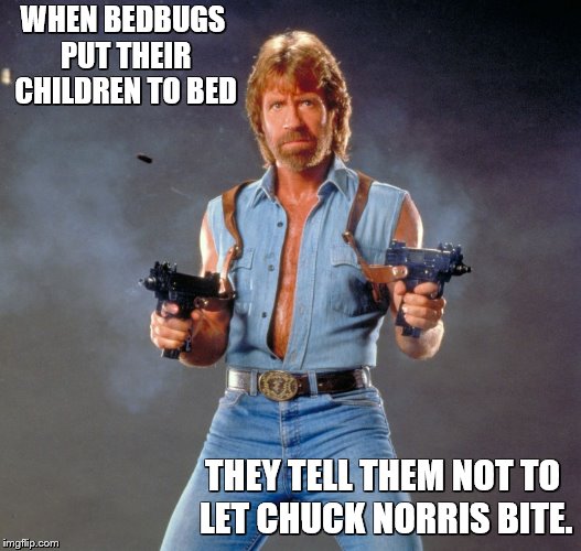 Chuck Norris Guns Meme | WHEN BEDBUGS PUT THEIR CHILDREN TO BED; THEY TELL THEM NOT TO LET CHUCK NORRIS BITE. | image tagged in memes,chuck norris guns,chuck norris | made w/ Imgflip meme maker