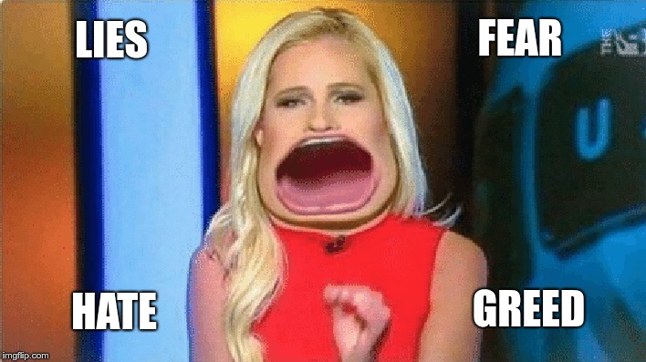 Tomi | FEAR; LIES; GREED; HATE | image tagged in tomi,conservative,ignorant | made w/ Imgflip meme maker