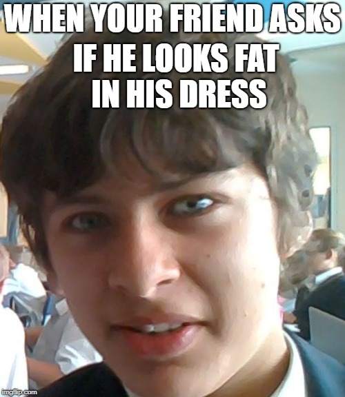WHEN YOUR FRIEND ASKS; IF HE LOOKS FAT IN HIS DRESS | image tagged in disgust | made w/ Imgflip meme maker