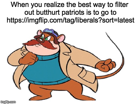 When you realize the best way to filter out butthurt patriots is to go to https://imgflip.com/tag/liberals?sort=latest | made w/ Imgflip meme maker