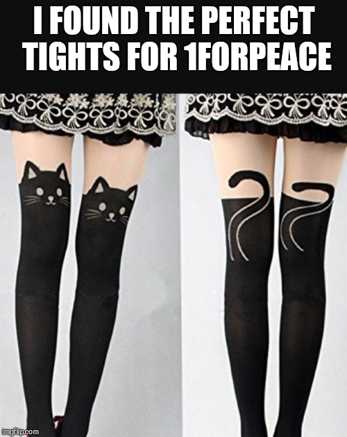 I FOUND THE PERFECT TIGHTS FOR 1FORPEACE | made w/ Imgflip meme maker