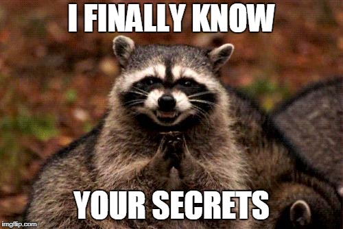 Evil Plotting Raccoon Meme | I FINALLY KNOW; YOUR SECRETS | image tagged in memes,evil plotting raccoon | made w/ Imgflip meme maker