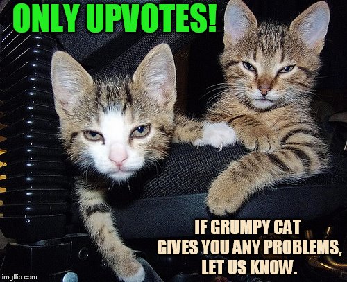 ONLY UPVOTES! IF GRUMPY CAT GIVES YOU ANY PROBLEMS, LET US KNOW. | made w/ Imgflip meme maker