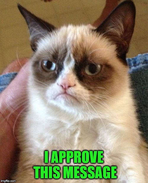 Grumpy Cat Meme | I APPROVE THIS MESSAGE | image tagged in memes,grumpy cat | made w/ Imgflip meme maker