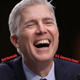 High Quality Neil Gorsuch U.S. Supreme Court  Blank Meme Template