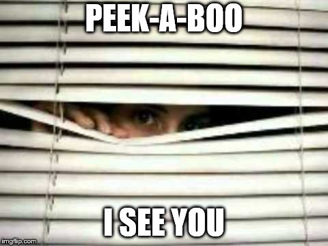 Hiding | PEEK-A-BOO; I SEE YOU | image tagged in hiding | made w/ Imgflip meme maker