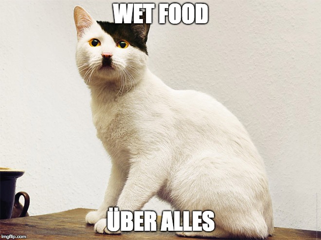 WET FOOD; ÜBER ALLES | image tagged in kitler | made w/ Imgflip meme maker