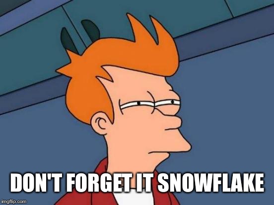 Futurama Fry Meme | DON'T FORGET IT SNOWFLAKE | image tagged in memes,futurama fry | made w/ Imgflip meme maker