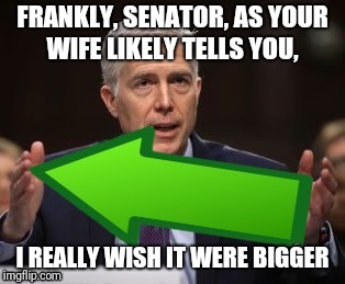 Gorsuch Upvote | FRANKLY, SENATOR, AS YOUR WIFE LIKELY TELLS YOU, I REALLY WISH IT WERE BIGGER | image tagged in gorsuch upvote | made w/ Imgflip meme maker