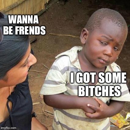 Third World Skeptical Kid Meme | WANNA BE FRENDS; I GOT SOME BITCHES | image tagged in memes,third world skeptical kid | made w/ Imgflip meme maker