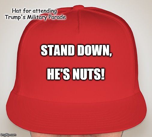Trump Hat | Hat for attending Trump's Military Parade; STAND DOWN, HE'S NUTS! | image tagged in trump hat | made w/ Imgflip meme maker