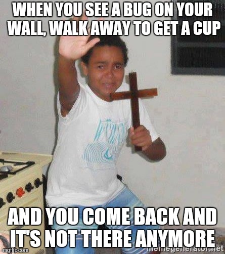 scared kid holding a cross | WHEN YOU SEE A BUG ON YOUR WALL, WALK AWAY TO GET A CUP; AND YOU COME BACK AND IT'S NOT THERE ANYMORE | image tagged in scared kid holding a cross | made w/ Imgflip meme maker