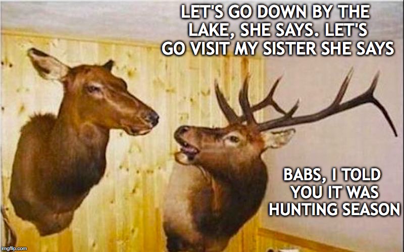 Nagged To Death | LET'S GO DOWN BY THE LAKE, SHE SAYS. LET'S GO VISIT MY SISTER SHE SAYS; BABS, I TOLD YOU IT WAS HUNTING SEASON | image tagged in deer,hunting season | made w/ Imgflip meme maker