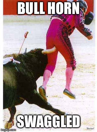 Bullhorn Swaggled | BULL HORN; SWAGGLED | image tagged in bullhorn swaggled | made w/ Imgflip meme maker