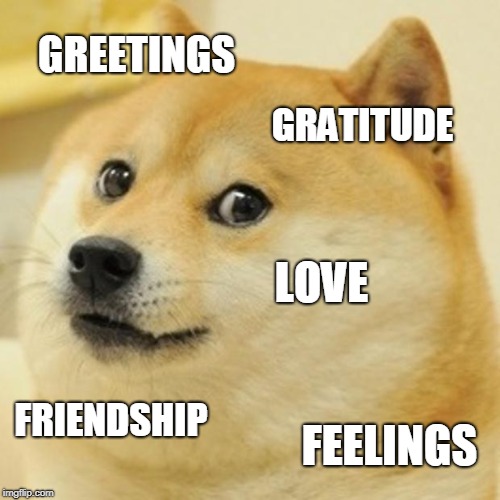 Doge Meme | GREETINGS GRATITUDE LOVE FRIENDSHIP FEELINGS | image tagged in memes,doge | made w/ Imgflip meme maker
