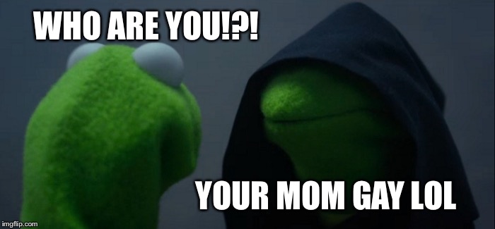 Evil Kermit Meme | WHO ARE YOU!?! YOUR MOM GAY LOL | image tagged in memes,evil kermit | made w/ Imgflip meme maker