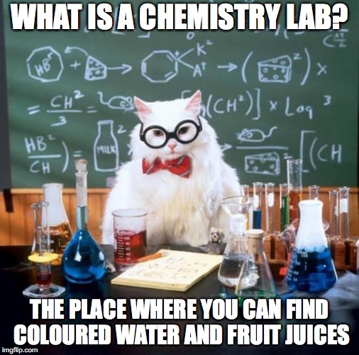 Chemistry Cat | WHAT IS A CHEMISTRY LAB? THE PLACE WHERE YOU CAN FIND COLOURED WATER AND FRUIT JUICES | image tagged in memes,chemistry cat | made w/ Imgflip meme maker