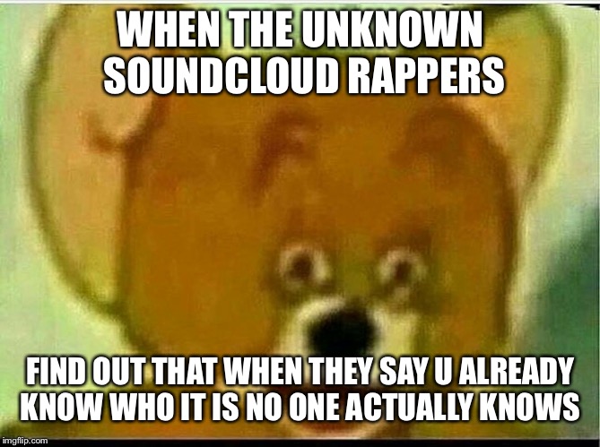 Jerry  | WHEN THE UNKNOWN SOUNDCLOUD RAPPERS; FIND OUT THAT WHEN THEY SAY U ALREADY KNOW WHO IT IS NO ONE ACTUALLY KNOWS | image tagged in jerry | made w/ Imgflip meme maker