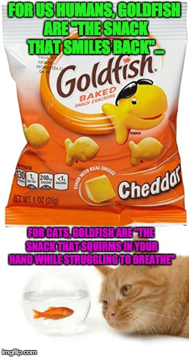 Golfish! | FOR US HUMANS, GOLDFISH ARE "THE SNACK THAT SMILES BACK"... FOR CATS, GOLDFISH ARE "THE SNACK THAT SQUIRMS IN YOUR HAND WHILE STRUGGLING TO BREATHE" | image tagged in memes,funny,cats,goldfish,jokes | made w/ Imgflip meme maker