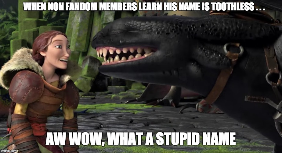 WHEN NON FANDOM MEMBERS LEARN HIS NAME IS TOOTHLESS . . . AW WOW, WHAT A STUPID NAME | image tagged in how to train your dragon,toothless,valka | made w/ Imgflip meme maker