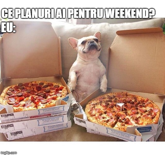 Pizza Dog | CE PLANURI AI PENTRU WEEKEND? EU: | image tagged in pizza dog | made w/ Imgflip meme maker