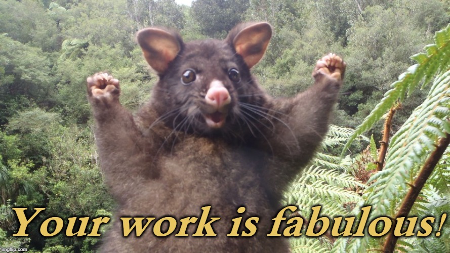 Positive Possum | Your work is fabulous! | image tagged in positive possum | made w/ Imgflip meme maker