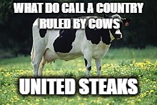 WHAT DO CALL A COUNTRY RULED BY COWS; UNITED STEAKS | image tagged in jokes,puns,whatever you want to call it | made w/ Imgflip meme maker